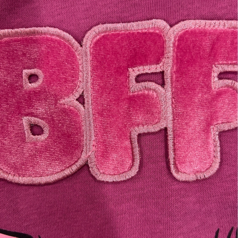 NWT Disney Minnie & Daisy “BFFS” Sweatshirt - Picture 3 of 4